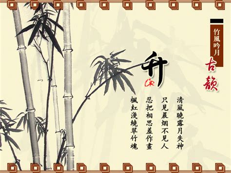 梅花間竹 意思|梅花间竹是什么意思是什么